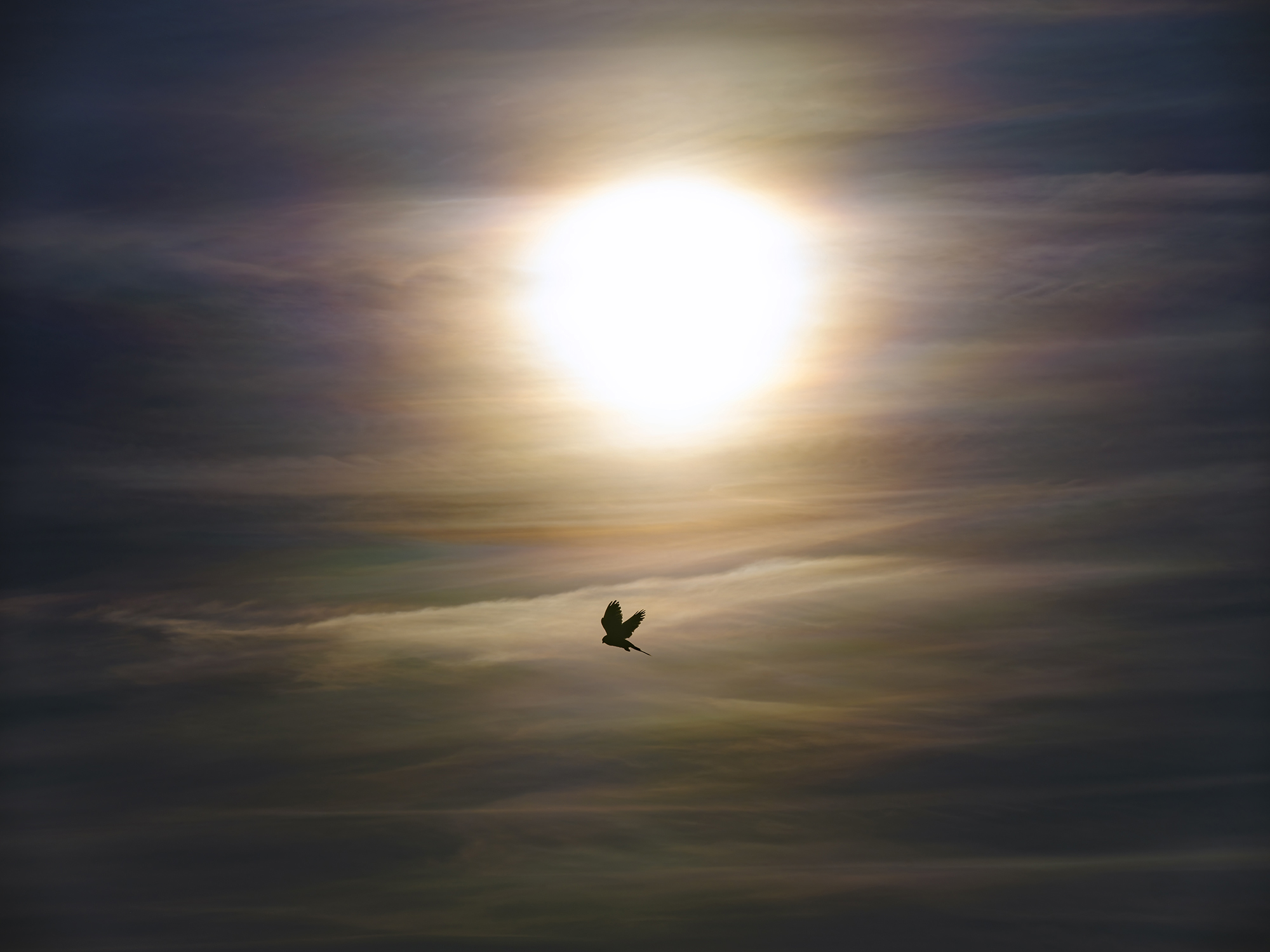 Wenn sich Sonnenlicht ...